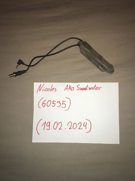 WADSN Tactical Aug Pressure Switch DE