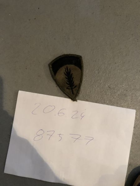 Us Einheits Patch Oliv mit Klett