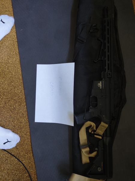 Komplettauflösung - Set aus Novritsch SSR4 mit Tracer, Cytac Weste, Griff, Rotpunkt, Transporttasche und BBs