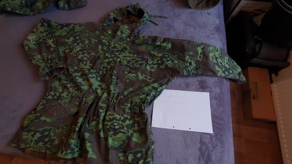 Russischer Partizan-M Eichenlaub Frühling Herbst