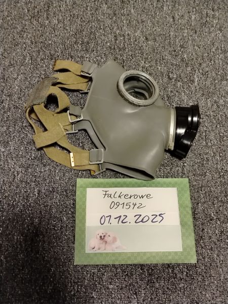 Polnische MS-1 Gasmaske, Gr.2