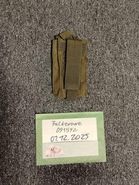 Doppel-Mgazintasche oliv, Gewehr+Pistole