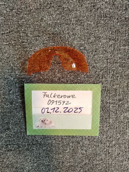 Swiss Eye Raptor Ersatzglas