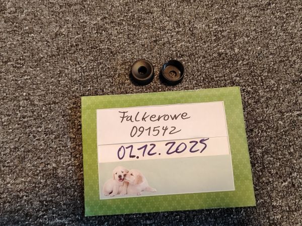 Silverback Gewindeabdeckungen 24mm