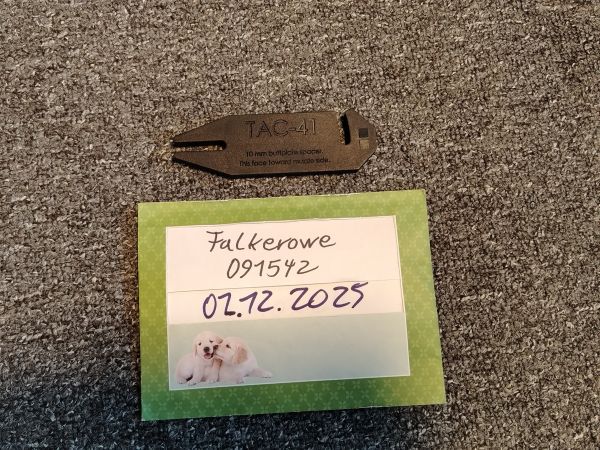 Silverback TAC 41 Buttplate spacer