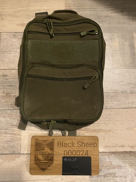 Molle Backpack, Daypack Tasche oliv