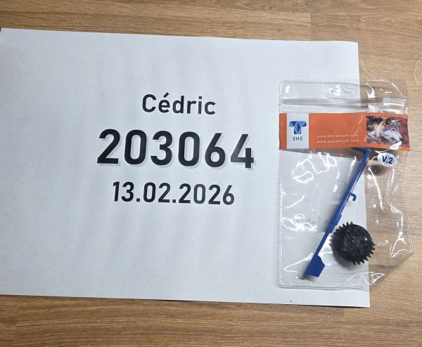 Gear SHS DSG Set 8Z für 18:1 16:1 mit Tappet Plate