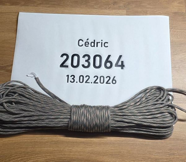 Paracord 550 Mil Spec 100 Feet