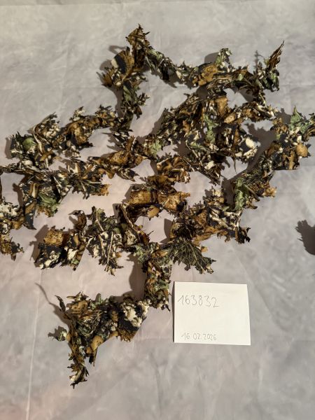 Tarn Material - Novritsch 