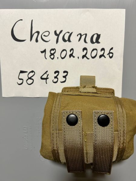 Edc Dump Pouch in tan