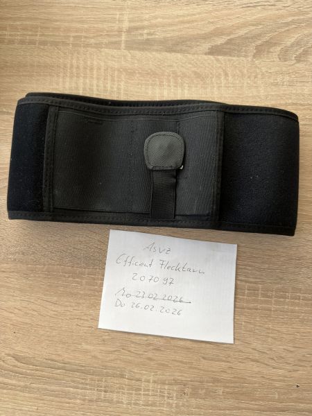 Concealed carry Holster