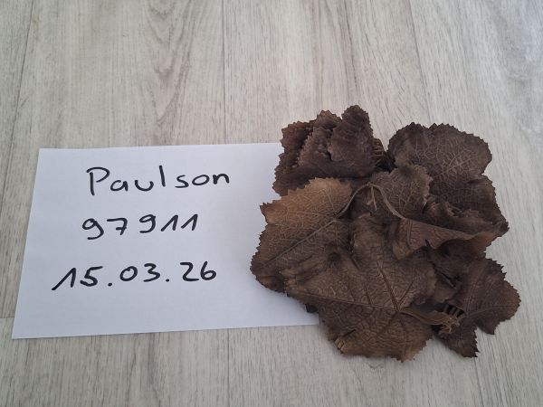 Ghillie Novritsch Camo