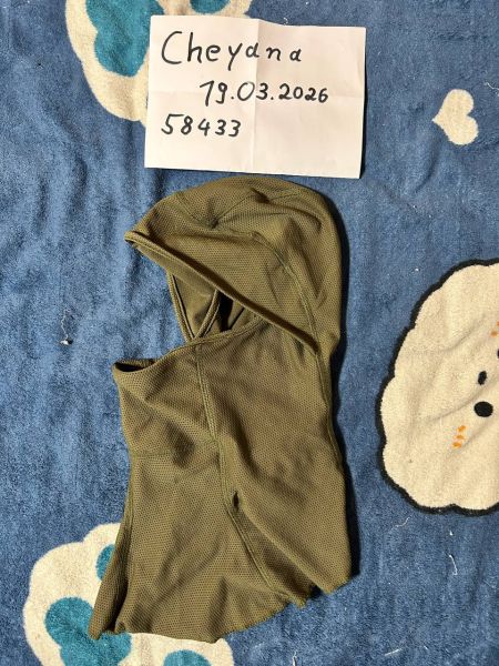 Assault Balaclava FR (Gen2) Ranger Green