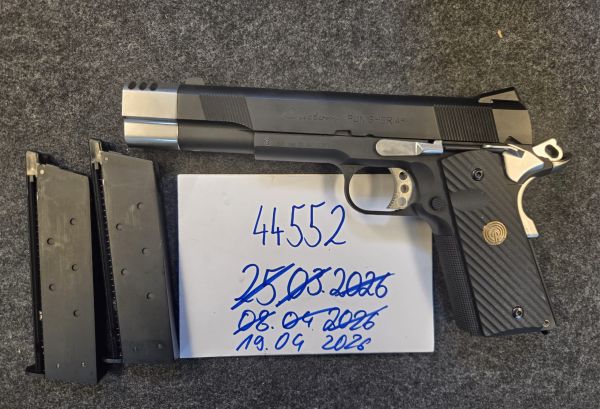 WE / Socom Gear Punisher 1911 GBB mit zwei Magazinen