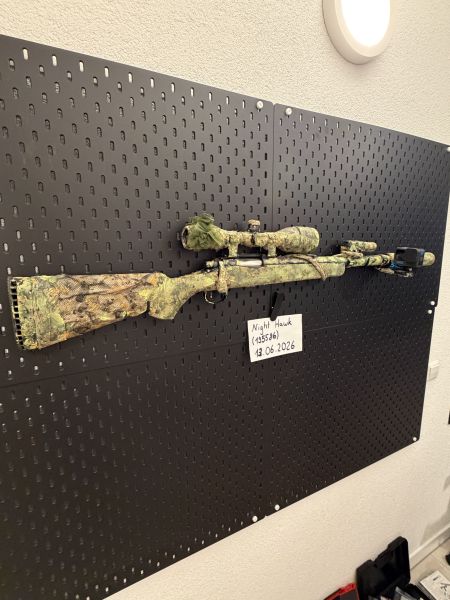 Tuned SSG10 A1 mit Scopecam und Tarnung 