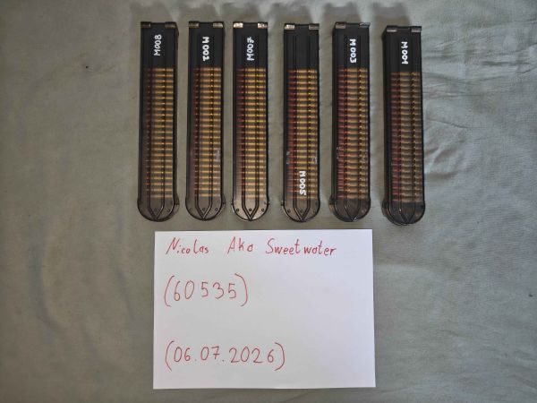 Begadi PD9 Sport LowCap Magazin (70 BBs)