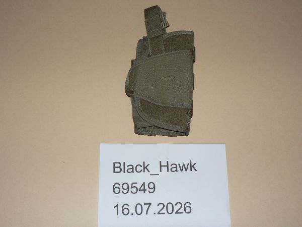Tasmanian Tiger TT Tac Holster MKII Pistolenholster