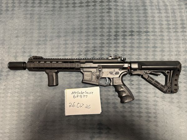 G&G GC16 Warthog 9 inch mit Tuning, Gate Titan V2 & Zubehör