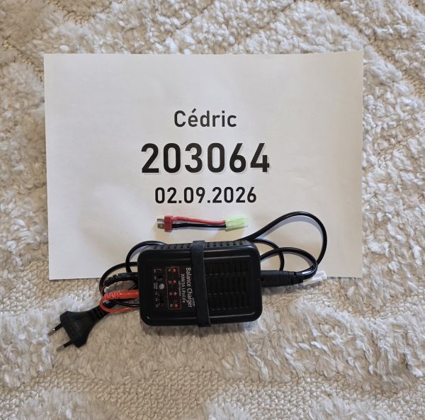 ASG Auto-Stop Ladegerät LiPo / LiFe – 17942