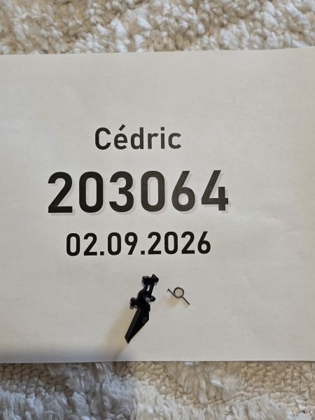 ZERO-DOMAIN AEG Trigger – Schwarz