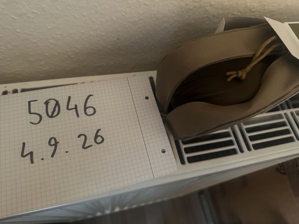 Bolle Schutzbrille neu