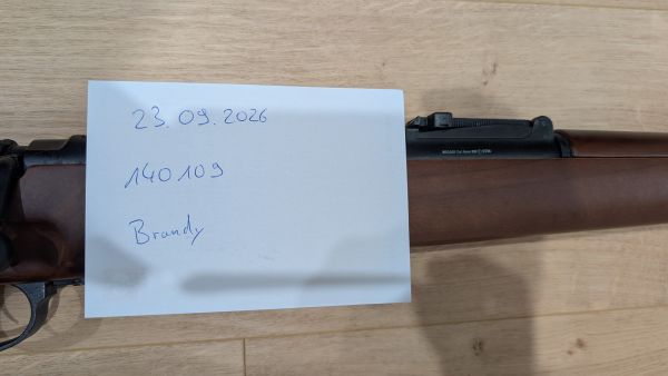 ST98 Kar98k k98