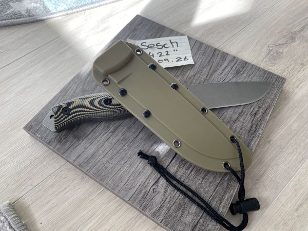 Esee 6 Clone